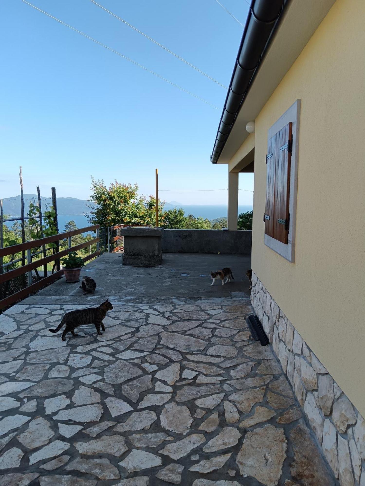 Vacation Home Marinici Mošćenička Draga Eksteriør bilde